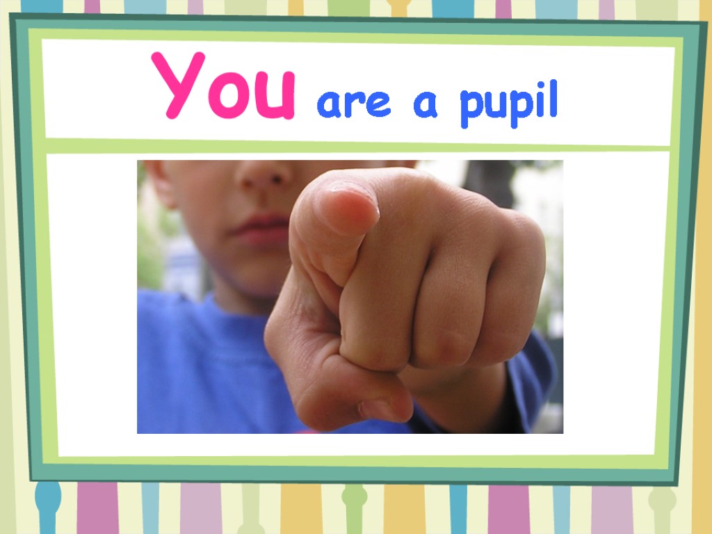 You are a pupil